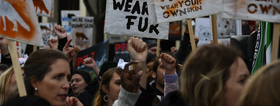 Demo in ZH-60.jpg